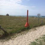 May Baltic Sea Trip - Wustrow dune